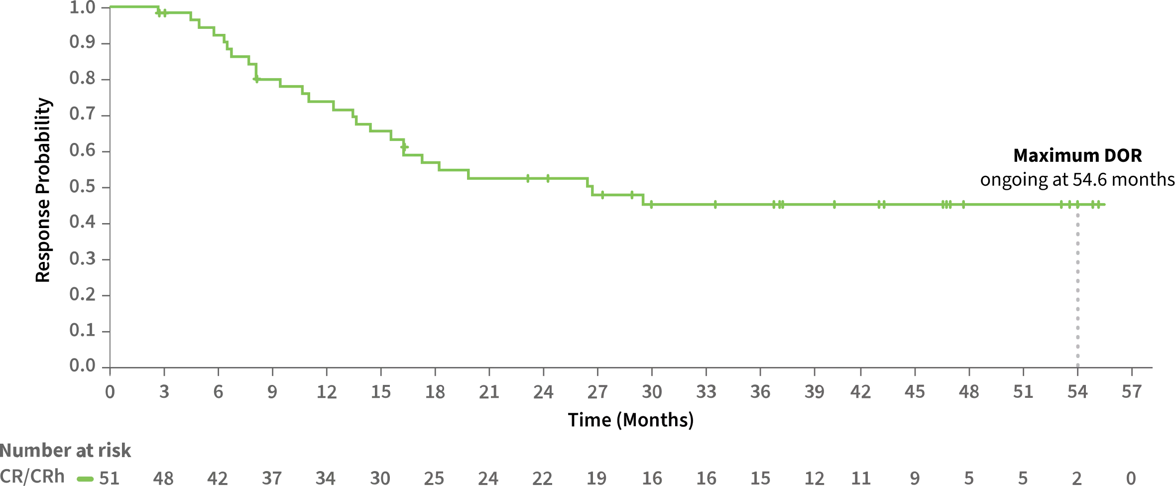 Median Duration Response Graph Graph showing duration of responses in REZLIDHIA clinical study