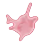 Illustration of a platelet