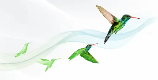 Illustration of hummingbirds abstract