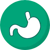 Stomach icon