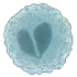 Illustration of white blood cell